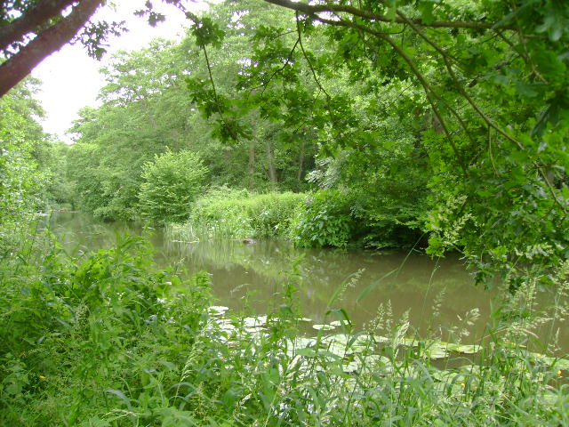 お散歩日和♪_d0104926_23201253.jpg