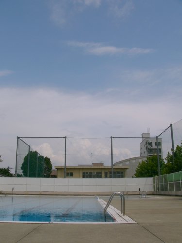 d0018131_59637.jpg