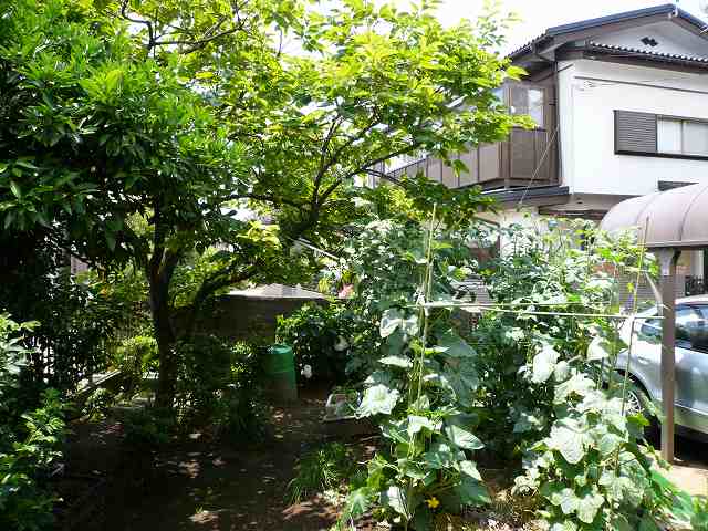 a0006033_12304797.jpg