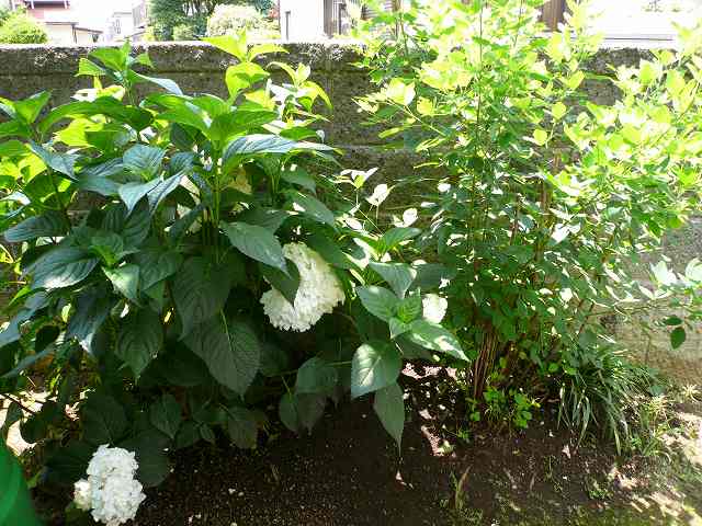 a0006033_1231563.jpg