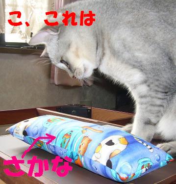 気分のほうが乗ってきましたので・・(だいた風)_f0002743_1433683.jpg