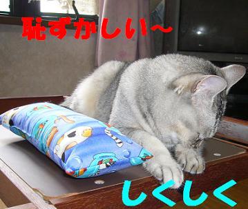 気分のほうが乗ってきましたので・・(だいた風)_f0002743_1434518.jpg
