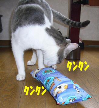 気分のほうが乗ってきましたので・・(だいた風)_f0002743_1438584.jpg