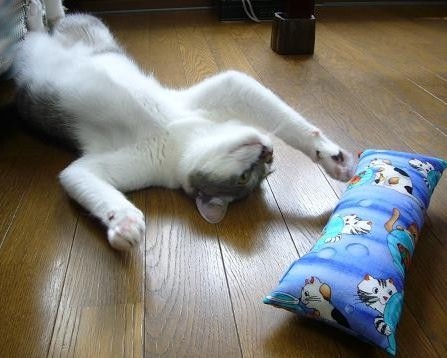 気分のほうが乗ってきましたので・・(だいた風)_f0002743_14444317.jpg