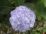 c0020653_2372247.jpg
