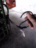 d0007957_2116121.jpg