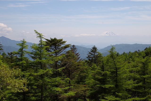 笠取山へ…_f0129062_1950650.jpg