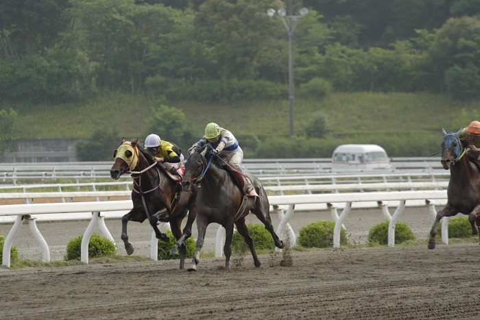 明6?_a0077663_18491549.jpg