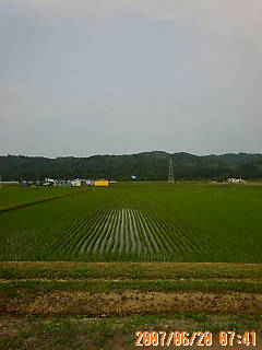 d0098665_20362938.jpg