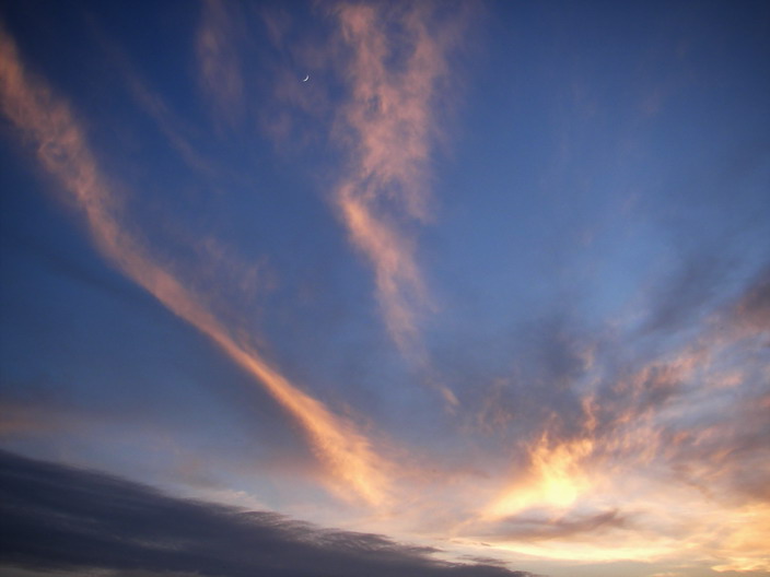 b0093678_7292943.jpg