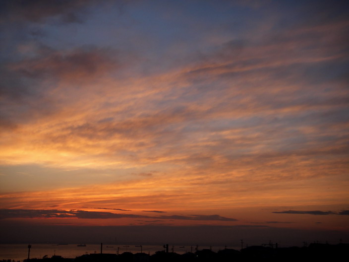 b0093678_7325367.jpg