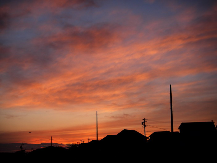 b0093678_7332152.jpg