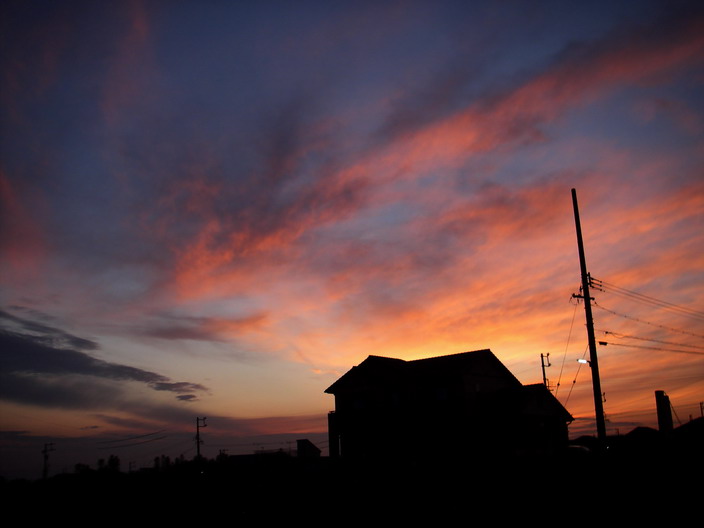 b0093678_7333592.jpg