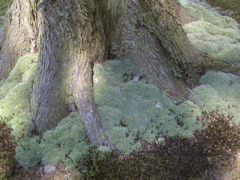 c0104296_1816665.jpg
