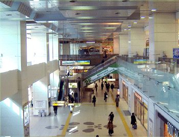 a0055913_011167.gif