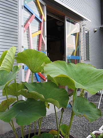 陶芸作家 川口淳氏のアトリエにちょと寄ってみました。 : 写真師
