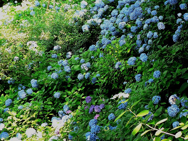 c0044021_1036960.jpg