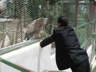 Zoo in Sana\'a (3)_a0090924_1573358.jpg