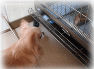 b0078030_22281912.gif