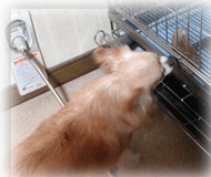 b0078030_22284926.gif