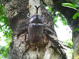 b0074939_10315626.jpg