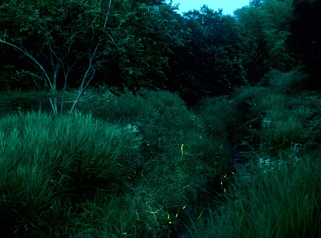 c0071040_836399.jpg