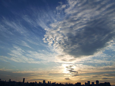 e0039640_94173.jpg