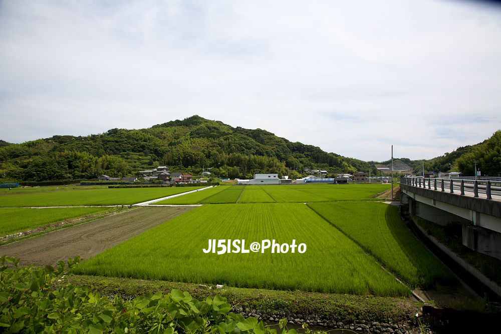 武市半平太生家 1/2  土佐国長岡郡仁井田郷吹井村_a0078341_21471491.jpg