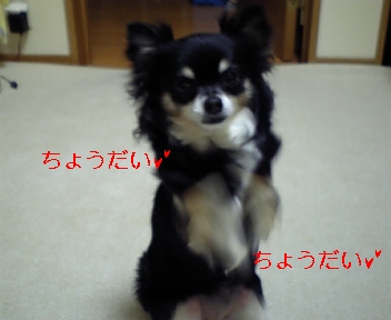 c0121141_146368.jpg