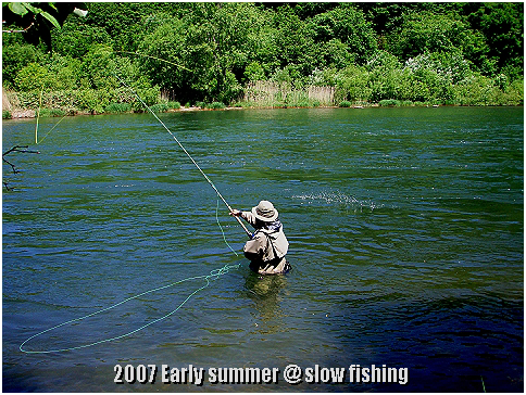Vol 469 ものぐさ釣師のスペイ 本流編その1 Slow Fishing Ver 1 Vol 469 ものぐさ釣師のスペイ 本流編その1 Slow Fishing Ver 1
