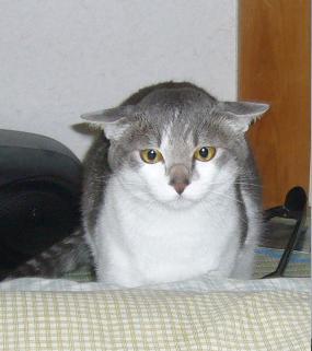 ええ、ええ、食べましたよ_f0002743_13272854.jpg