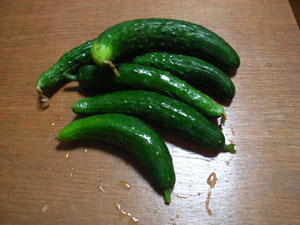 農園便り・処世術_c0063348_23244167.jpg