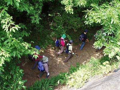 d0048350_214107.jpg