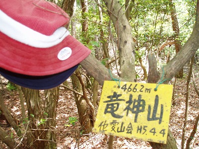 d0048350_216043.jpg