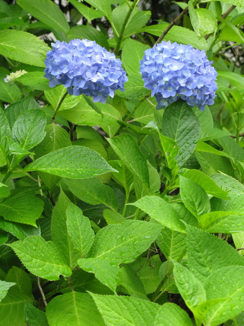 c0112158_23551590.jpg