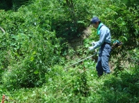 c0108460_17495064.jpg