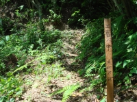c0108460_1751728.jpg