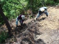 c0108460_17521665.jpg