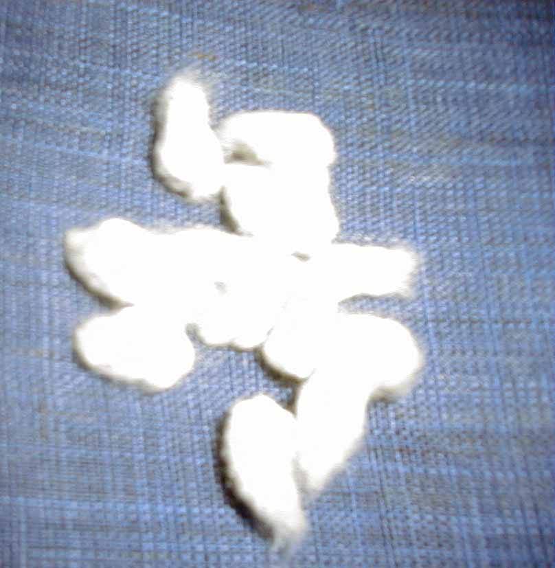 e0126576_13363454.jpg