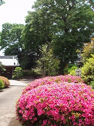 49. 武家屋敷風の安穏寺_c0105785_12131096.jpg