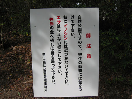 e0125894_2173375.jpg