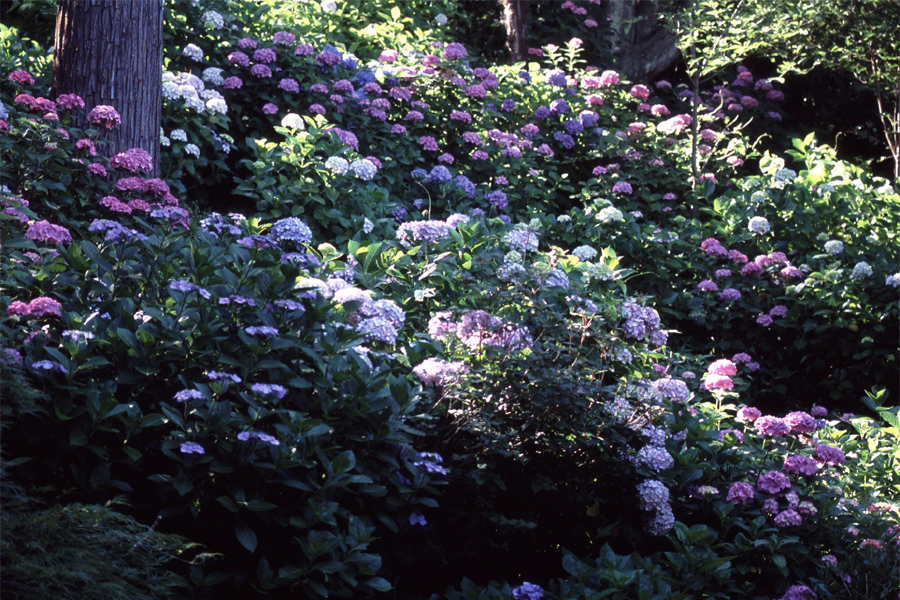 b0043304_21393580.jpg