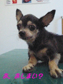 e0099019_211519.jpg