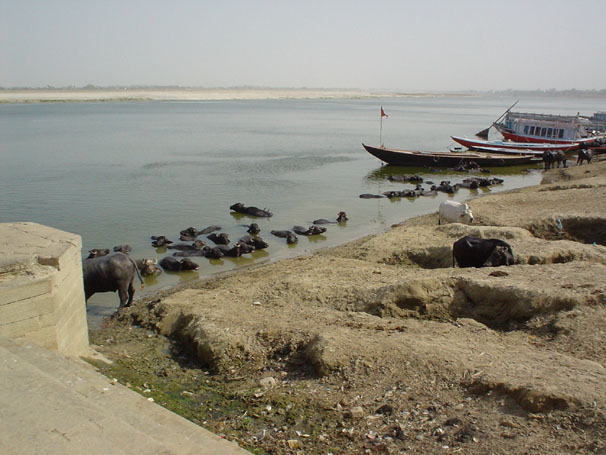e0019320_1342918.jpg
