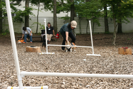 e0071225_31508.jpg
