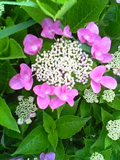 f0073958_23202160.jpg