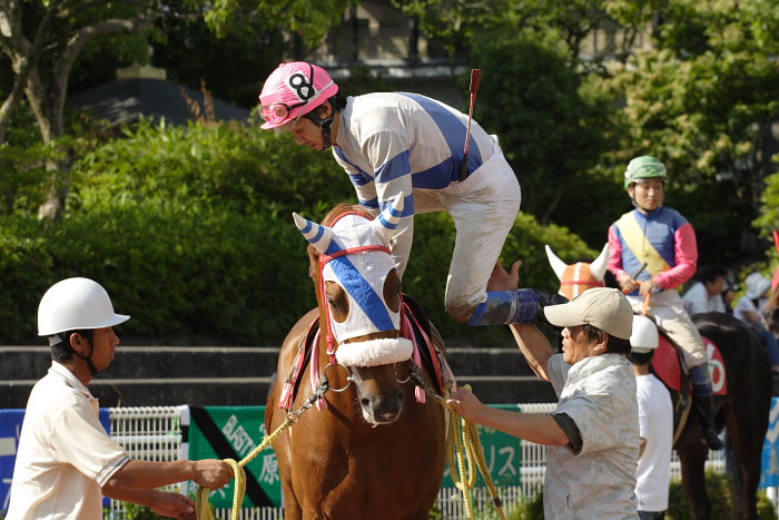 2007年6月10日（日） 高知競馬 10R 紫陽花特別_a0077663_21133567.jpg