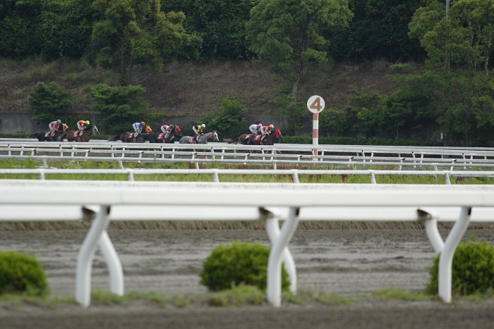 2007年6月10日（日） 高知競馬 10R 紫陽花特別_a0077663_21141276.jpg