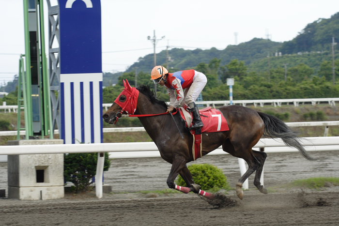 2007年6月10日（日） 高知競馬 10R 紫陽花特別_a0077663_211446100.jpg