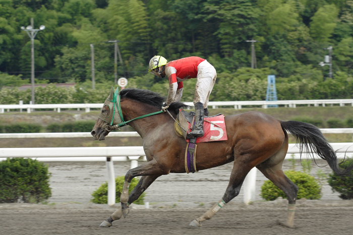 2007年6月10日(日) 高知競馬 10R 紫陽花特別_a0077663_21145649.jpg